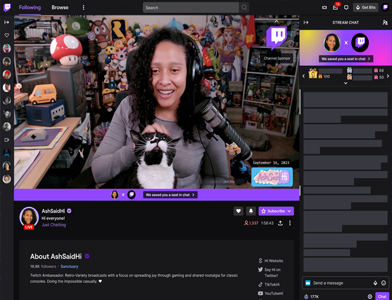 Stream Branding 101 How to Build a Unique Twitch Channel
